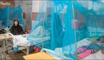 Degue cases in islamabad