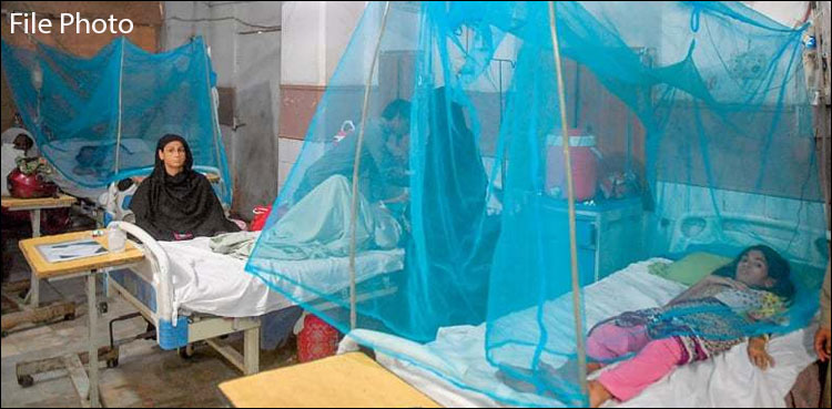 Degue cases in islamabad