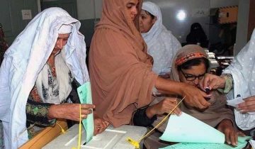 Local elections
