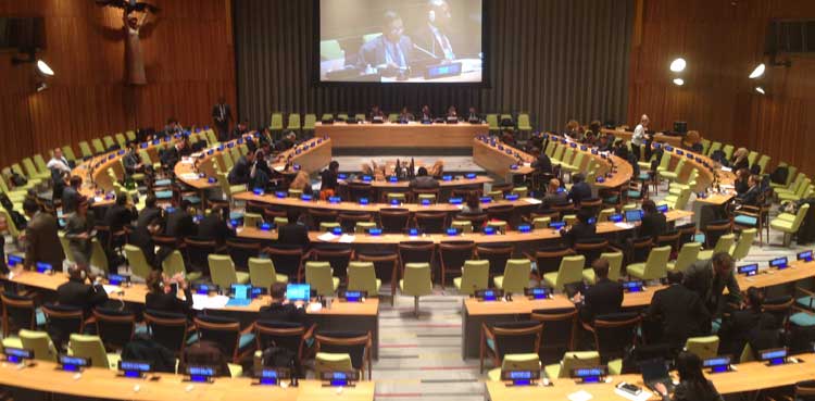 UN General Assambly