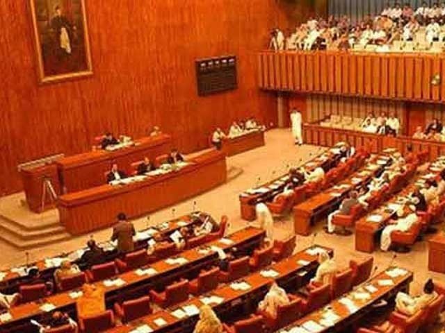 Meeting parliament