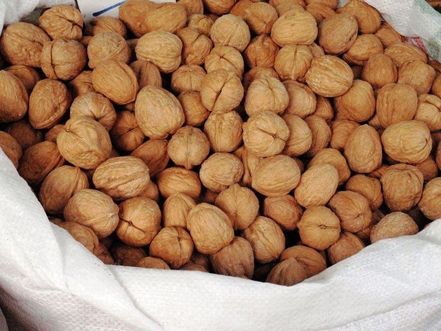 Walnuts.